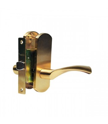 Дверная ручка Archie T111-X11-V3 никель/золото