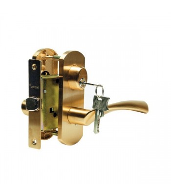 Дверная ручка Archie T111-X11-V1 никель/золото